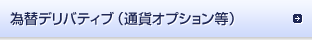 為替デリバティブ（通貨オプション等）